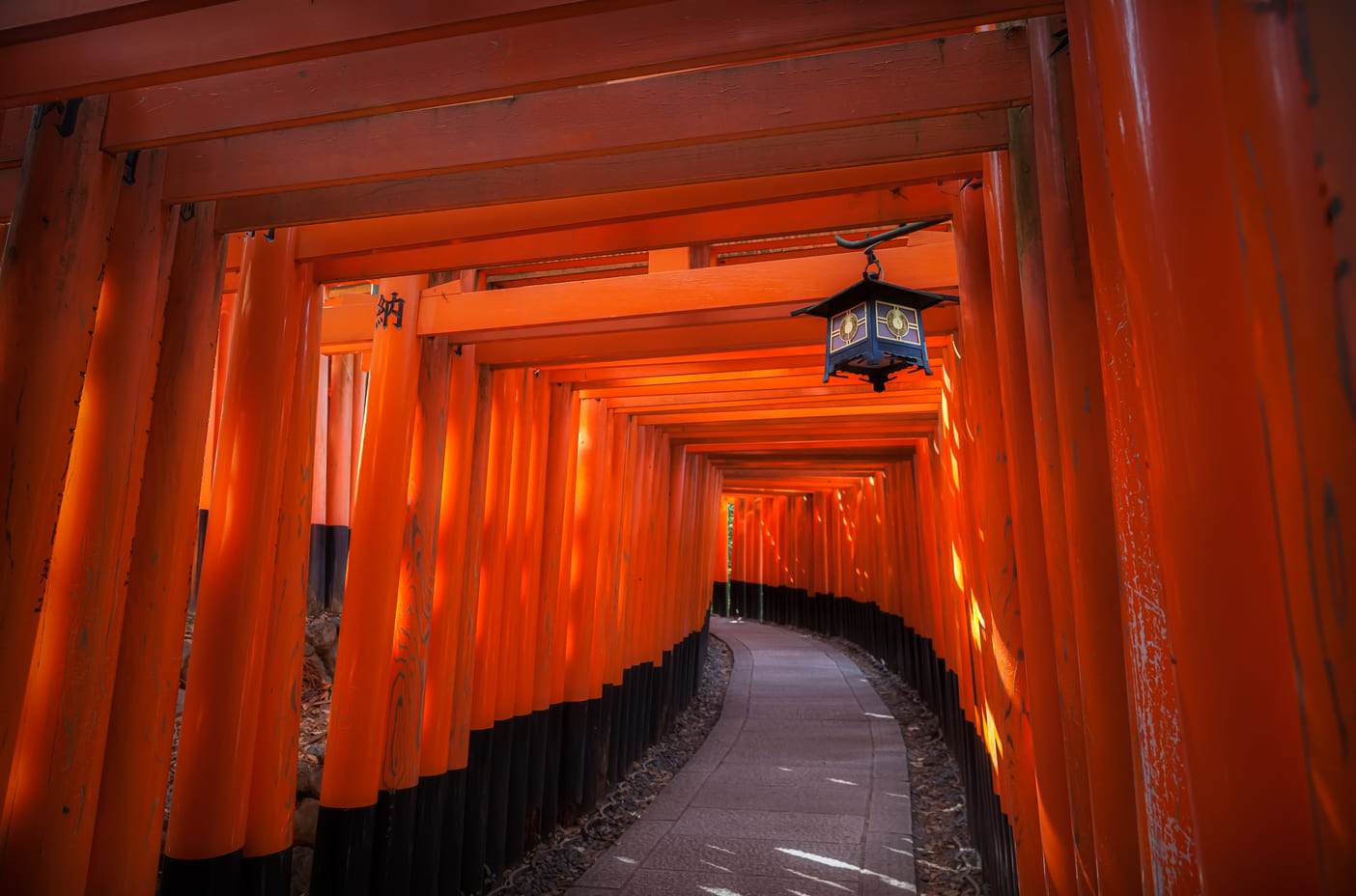 Endless red torii gates leading to Fushimi Inari Shrine in Kyoto